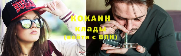 крисы Михайловка