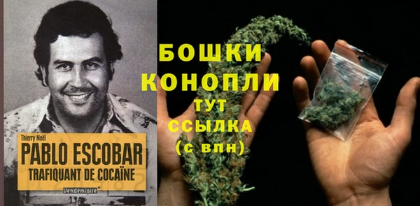 крисы Михайловка