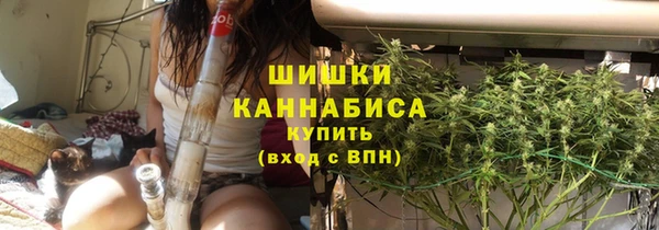 ПСИЛОЦИБИНОВЫЕ ГРИБЫ Михайловск