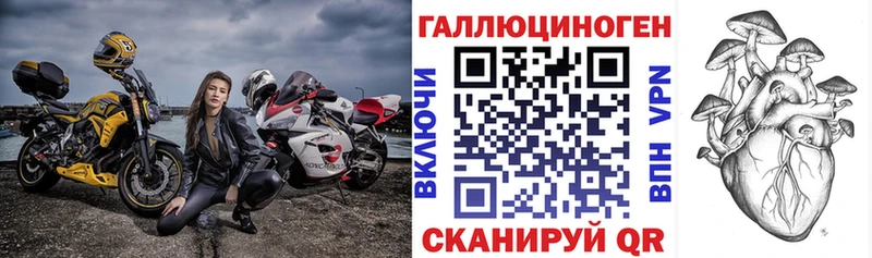 Псилоцибиновые грибы Cubensis Пудож